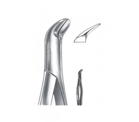 Extracting Forceps